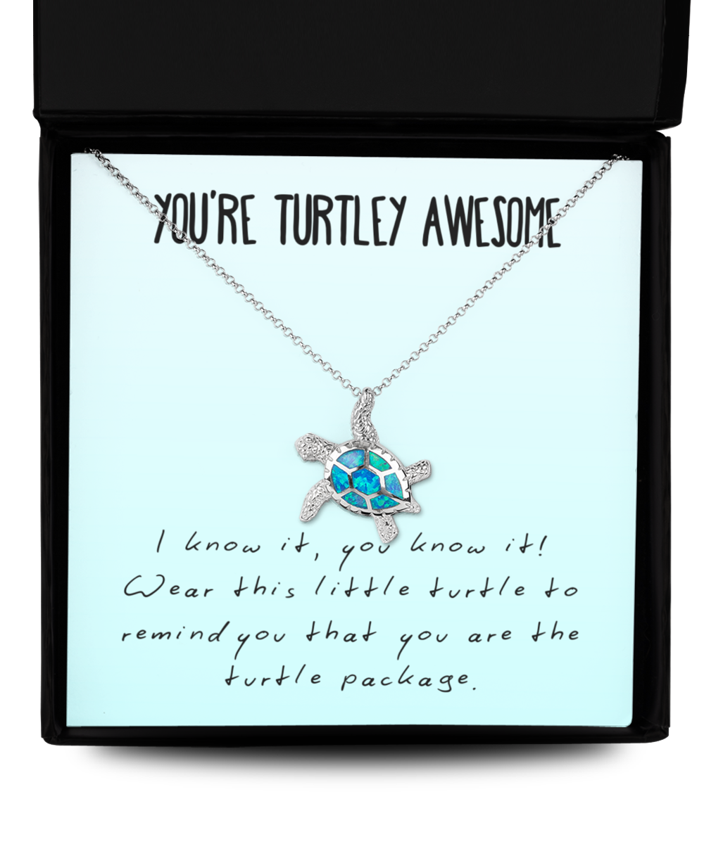 Cheer Up Gift Necklace for Encouragement and Motivation - You're Turtley Awesome